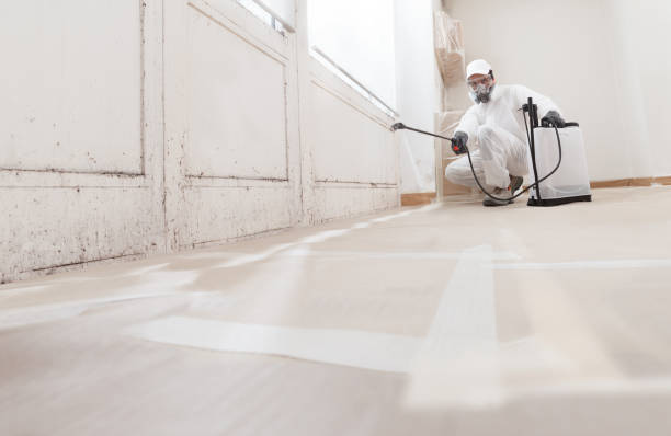24/7 Emergency Basement Mold Removal experts in Winchester, TN